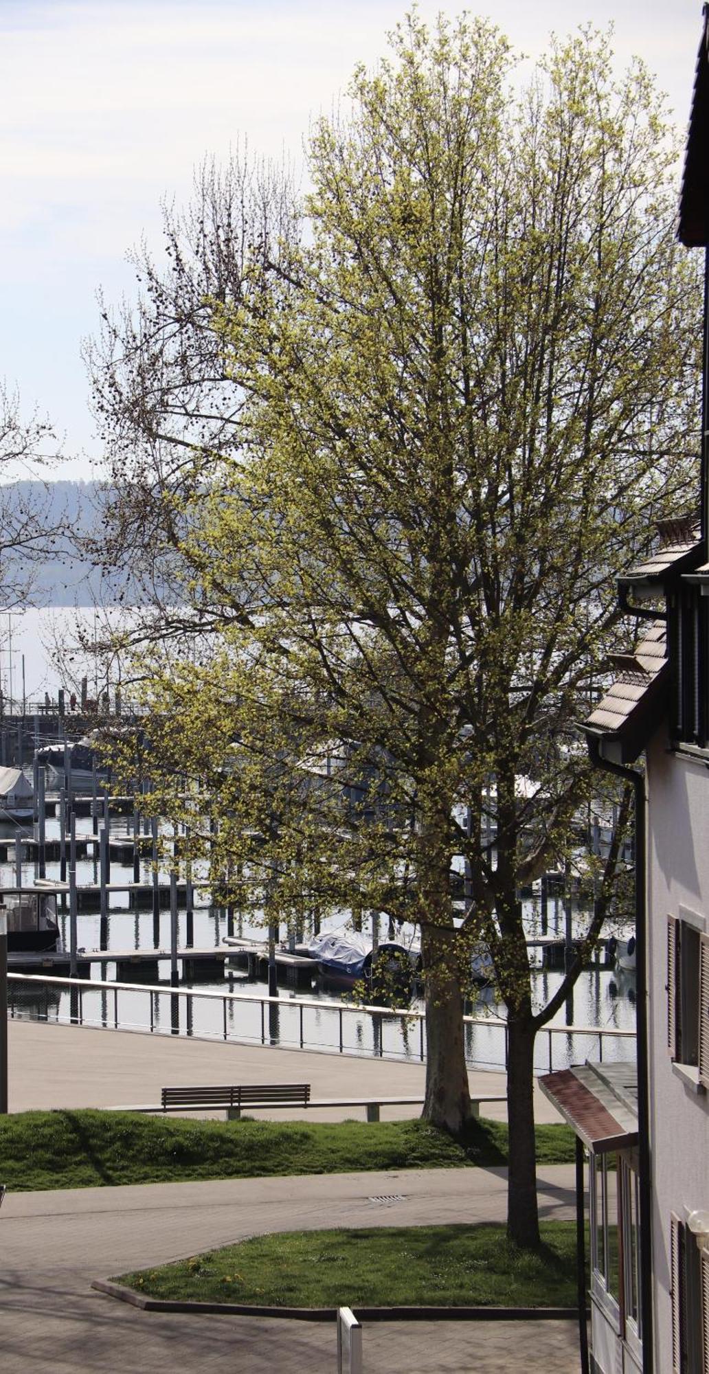 Gaestehaus Maeder Am Hafen Ульдинген-Мюльхофен Экстерьер фото