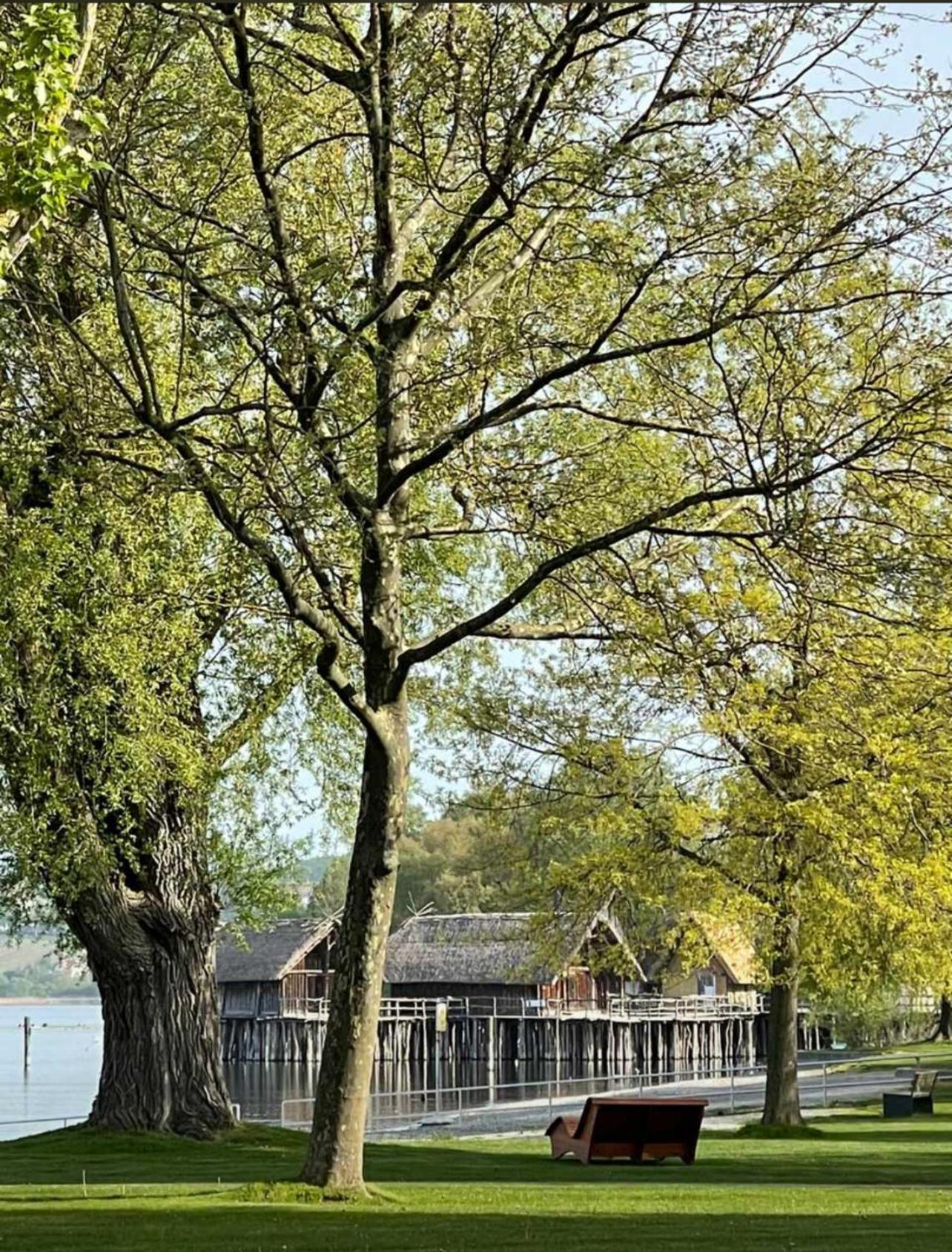 Gaestehaus Maeder Am Hafen Ульдинген-Мюльхофен Экстерьер фото